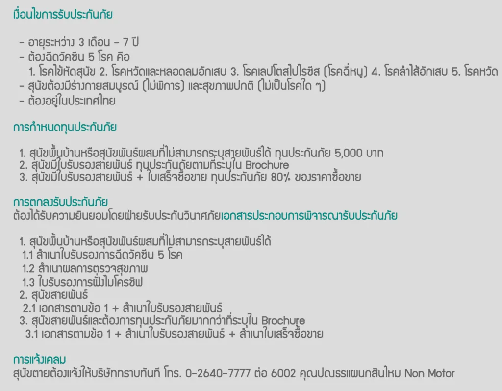 ประกันหมาแมว ประกันสัตว์เลี้ยง 2021 เปรียบเทียบทำที่ไหนดี เริ่ม ฿500 ต่อปี 24 ประกันหมาแมว ประกันสัตว์เลี้ยง 2021 เปรียบเทียบทำที่ไหนดี เริ่ม ฿500 ต่อปี 20