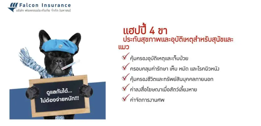 ประกันหมาแมว ประกันสัตว์เลี้ยง 2021 เปรียบเทียบทำที่ไหนดี เริ่ม ฿500 ต่อปี 15 ประกันหมาแมว ประกันสัตว์เลี้ยง 2021 เปรียบเทียบทำที่ไหนดี เริ่ม ฿500 ต่อปี 11