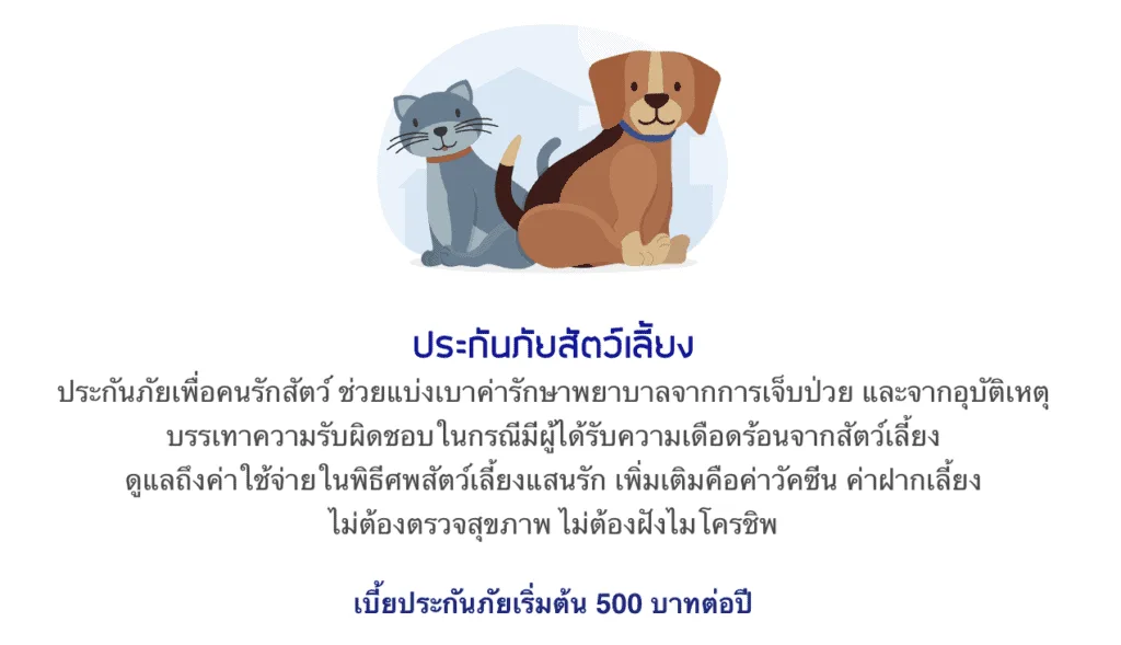 ประกันหมาแมว ประกันสัตว์เลี้ยง 2021 เปรียบเทียบทำที่ไหนดี เริ่ม ฿500 ต่อปี 3 ประกันสัตว์เลี้ยง