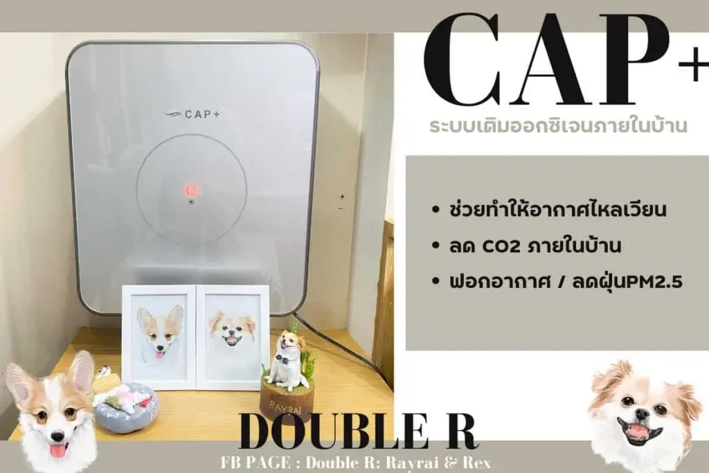 รีวิว CAP+ ระบบเติมออกซิเจน ล็อกบ้านปิดหน้าต่าง หมาก็ยังอยู่สบายอากาศถ่ายเท 1 ระบบเติมออกซิเจน เติมอากาศให้บ้าน CAP+ Thailand