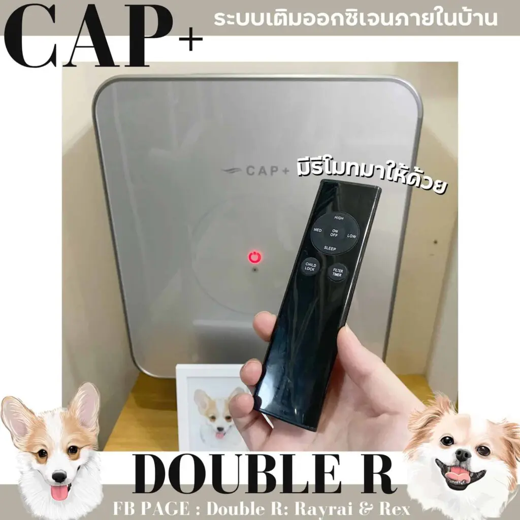 รีวิว CAP+ ระบบเติมออกซิเจน ล็อกบ้านปิดหน้าต่าง หมาก็ยังอยู่สบายอากาศถ่ายเท 3 รีวิว CAP+ ระบบเติมออกซิเจน ล็อกบ้านปิดหน้าต่าง หมาก็ยังอยู่สบายอากาศถ่ายเท 2