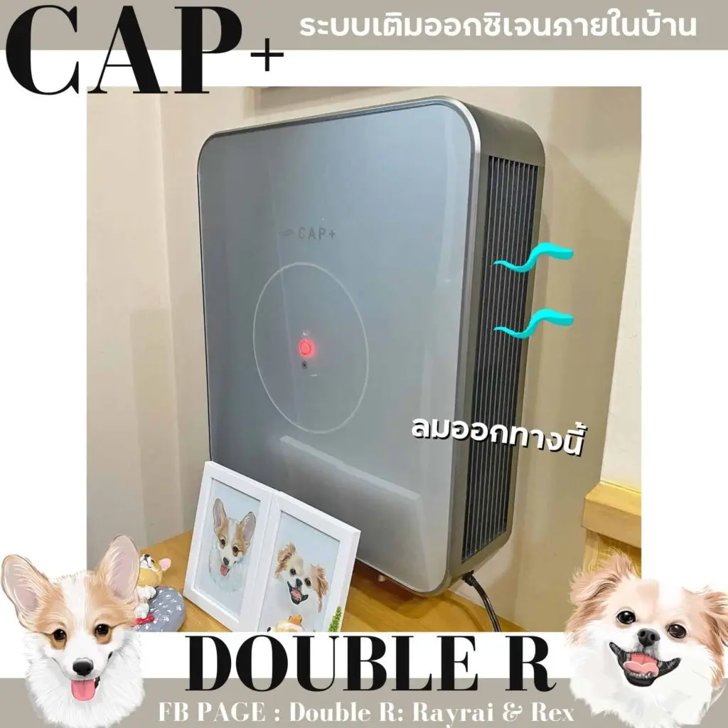 รีวิว CAP+ ระบบเติมออกซิเจน ล็อกบ้านปิดหน้าต่าง หมาก็ยังอยู่สบายอากาศถ่ายเท 2 รีวิว CAP+ ระบบเติมออกซิเจน ล็อกบ้านปิดหน้าต่าง หมาก็ยังอยู่สบายอากาศถ่ายเท 1