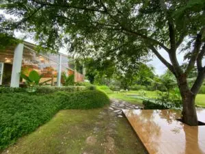 Bucolic Khaoyai (เขาใหญ่) 1