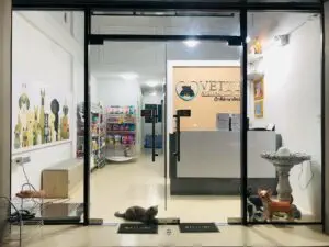 Vetty animal clinic (ปทุมธานี) 1