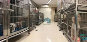 BMH Animal Hospital Baan Mahachai (มหาชัย) 1
