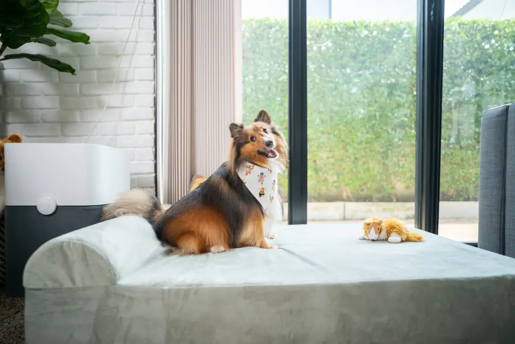 รีวิว Binky Barker ที่นอนเมมโมรี่โฟม เพื่อสุขภาพสุนัข ถนอมข้อต่อและสะโพกน้องหมา 2 Binky Barker