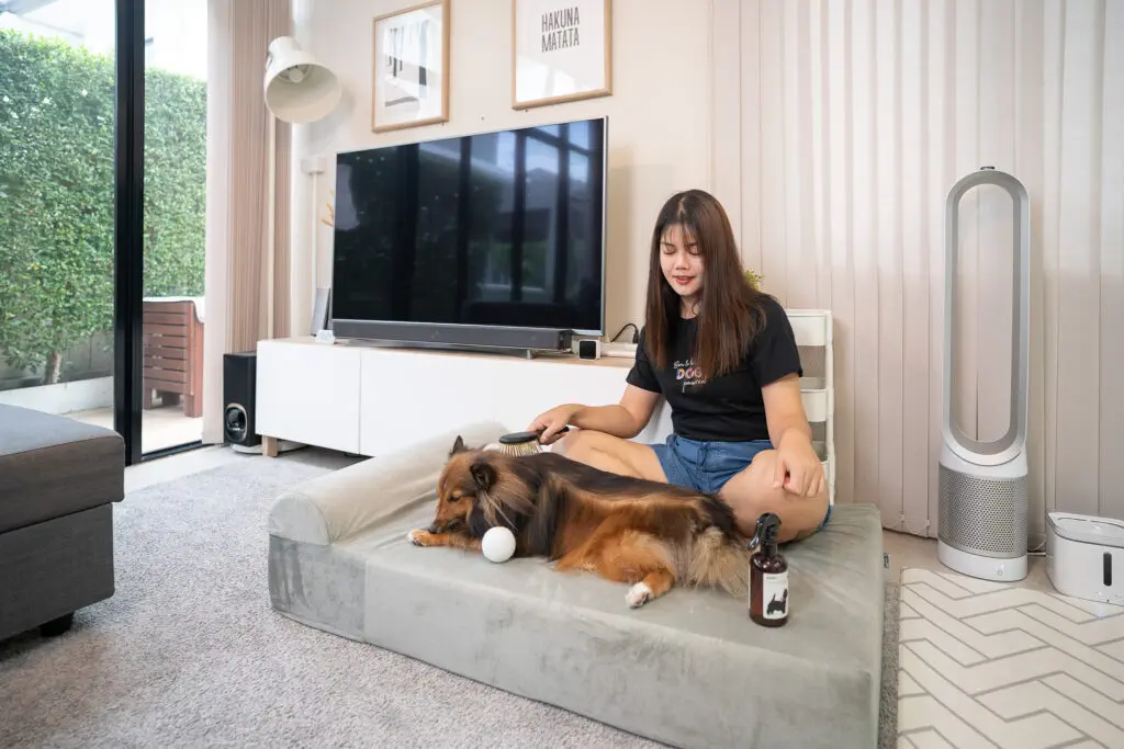 รีวิว Binky Barker ที่นอนเมมโมรี่โฟม เพื่อสุขภาพสุนัข ถนอมข้อต่อและสะโพกน้องหมา 10 รีวิว Binky Barker ที่นอนเมมโมรี่โฟม เพื่อสุขภาพสุนัข ถนอมข้อต่อและสะโพกน้องหมา 9
