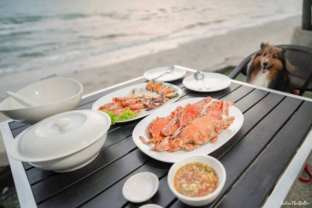 18 ไอเดีย Pet-First Design เมื่อเขาเป็นคนในครอบครัวมากกว่าสัตว์เลี้ยง การออกแบบจึงไม่หยุดแค่ Pet-Friendly 19 18 ไอเดีย Pet-First Design เมื่อเขาเป็นคนในครอบครัวมากกว่าสัตว์เลี้ยง การออกแบบจึงไม่หยุดแค่ Pet-Friendly 19