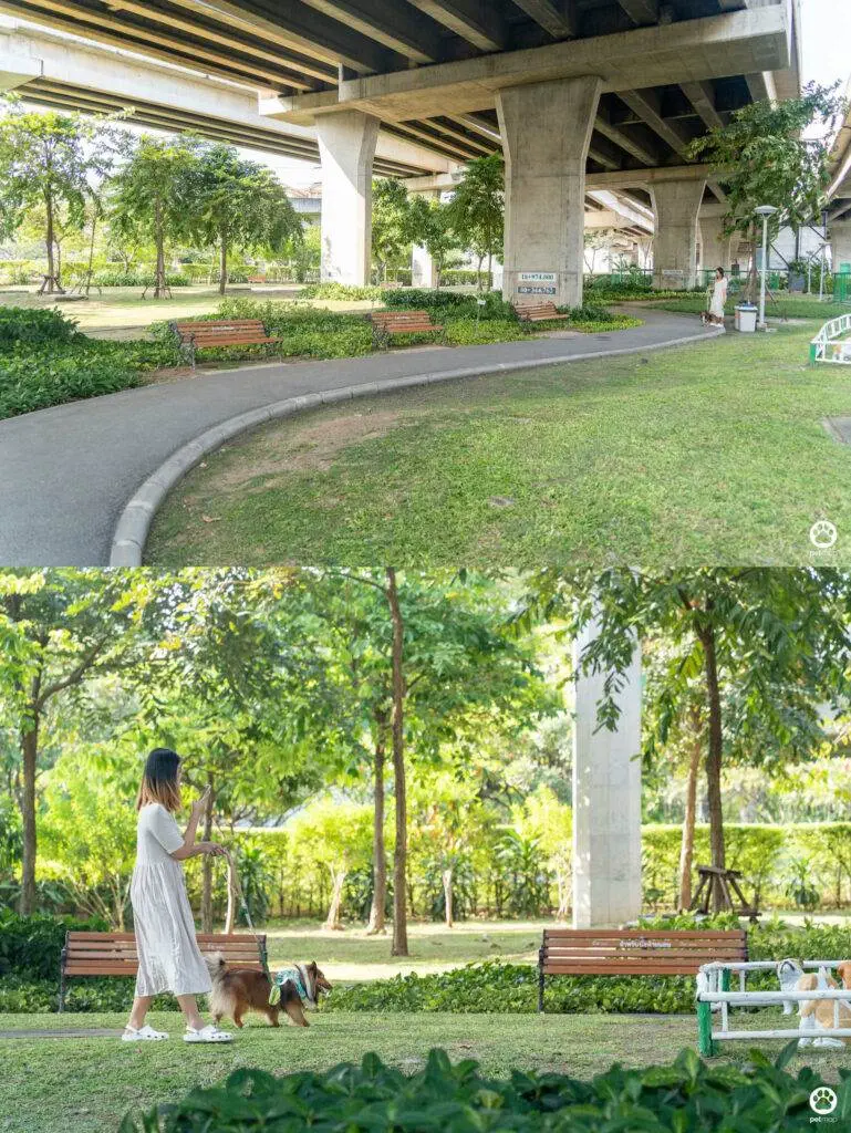10 ข้อดีของ BMA DOG PARK สวนวัชราภิรมย์ สวนหมาเข้าฟรี ดีเรายกให้ดีที่สุดของกทม. ปี 2022 35 10 ข้อดีของ BMA DOG PARK สวนวัชราภิรมย์ สวนหมาเข้าฟรี ดีเรายกให้ดีที่สุดของกทม. ปี 2022 29