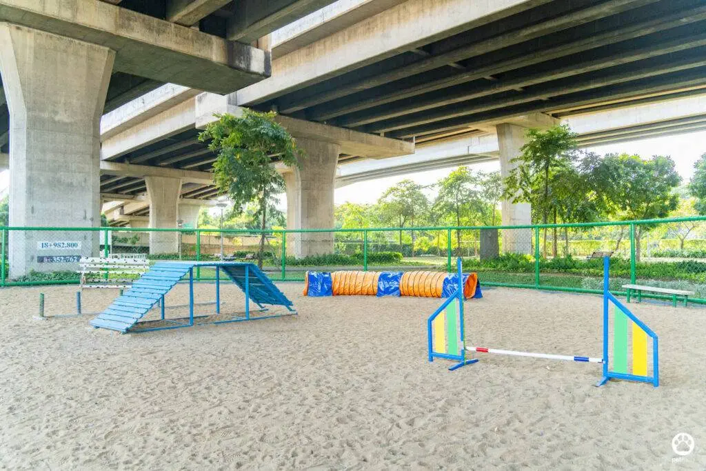 10 ข้อดีของ BMA DOG PARK สวนวัชราภิรมย์ สวนหมาเข้าฟรี ดีเรายกให้ดีที่สุดของกทม. ปี 2022 44 10 ข้อดีของ BMA DOG PARK สวนวัชราภิรมย์ สวนหมาเข้าฟรี ดีเรายกให้ดีที่สุดของกทม. ปี 2022 38