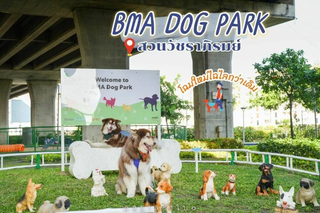 10 ข้อดีของ BMA DOG PARK สวนวัชราภิรมย์ สวนหมาเข้าฟรี ดีเรายกให้ดีที่สุดของกทม. ปี 2022 50 10 ข้อดีของ BMA DOG PARK สวนวัชราภิรมย์ สวนหมาเข้าฟรี ดีเรายกให้ดีที่สุดของกทม. ปี 2022 43