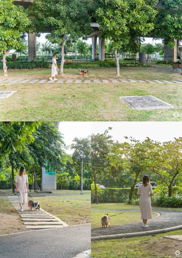 10 ข้อดีของ BMA DOG PARK สวนวัชราภิรมย์ สวนหมาเข้าฟรี ดีเรายกให้ดีที่สุดของกทม. ปี 2022 39 10 ข้อดีของ BMA DOG PARK สวนวัชราภิรมย์ สวนหมาเข้าฟรี ดีเรายกให้ดีที่สุดของกทม. ปี 2022 33