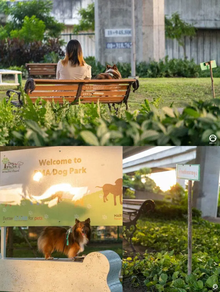 10 ข้อดีของ BMA DOG PARK สวนวัชราภิรมย์ สวนหมาเข้าฟรี ดีเรายกให้ดีที่สุดของกทม. ปี 2022 23 10 ข้อดีของ BMA DOG PARK สวนวัชราภิรมย์ สวนหมาเข้าฟรี ดีเรายกให้ดีที่สุดของกทม. ปี 2022 19