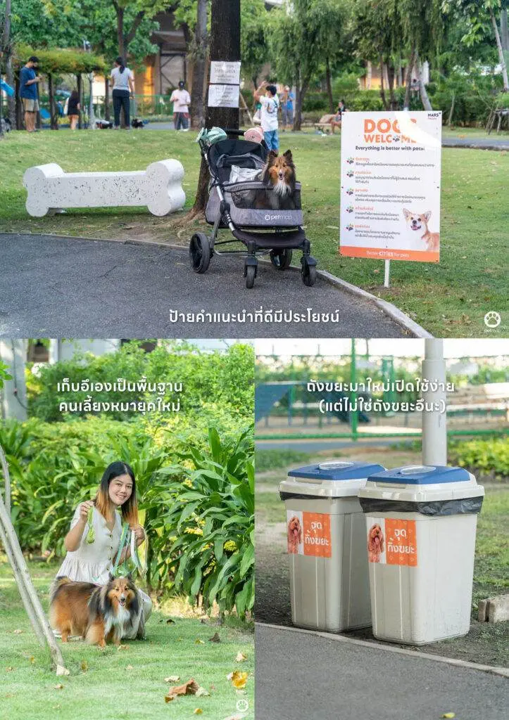 10 ข้อดีของ BMA DOG PARK สวนวัชราภิรมย์ สวนหมาเข้าฟรี ดีเรายกให้ดีที่สุดของกทม. ปี 2022 20 10 ข้อดีของ BMA DOG PARK สวนวัชราภิรมย์ สวนหมาเข้าฟรี ดีเรายกให้ดีที่สุดของกทม. ปี 2022 17
