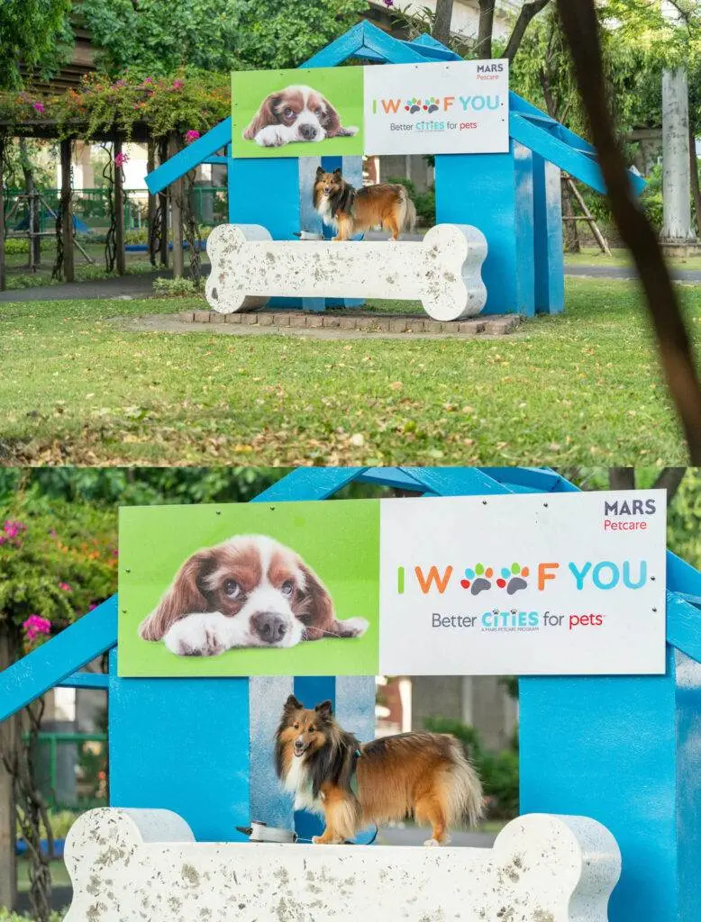 10 ข้อดีของ BMA DOG PARK สวนวัชราภิรมย์ สวนหมาเข้าฟรี ดีเรายกให้ดีที่สุดของกทม. ปี 2022 25 10 ข้อดีของ BMA DOG PARK สวนวัชราภิรมย์ สวนหมาเข้าฟรี ดีเรายกให้ดีที่สุดของกทม. ปี 2022 21