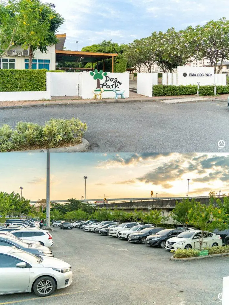 10 ข้อดีของ BMA DOG PARK สวนวัชราภิรมย์ สวนหมาเข้าฟรี ดีเรายกให้ดีที่สุดของกทม. ปี 2022 40 10 ข้อดีของ BMA DOG PARK สวนวัชราภิรมย์ สวนหมาเข้าฟรี ดีเรายกให้ดีที่สุดของกทม. ปี 2022 34