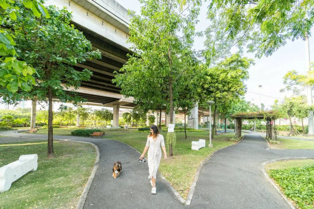 10 ข้อดีของ BMA DOG PARK สวนวัชราภิรมย์ สวนหมาเข้าฟรี ดีเรายกให้ดีที่สุดของกทม. ปี 2022 46 10 ข้อดีของ BMA DOG PARK สวนวัชราภิรมย์ สวนหมาเข้าฟรี ดีเรายกให้ดีที่สุดของกทม. ปี 2022 39