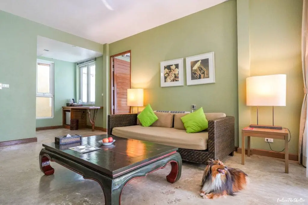18 ไอเดีย Pet-First Design เมื่อเขาเป็นคนในครอบครัวมากกว่าสัตว์เลี้ยง การออกแบบจึงไม่หยุดแค่ Pet-Friendly 16 18 ไอเดีย Pet-First Design เมื่อเขาเป็นคนในครอบครัวมากกว่าสัตว์เลี้ยง การออกแบบจึงไม่หยุดแค่ Pet-Friendly 16