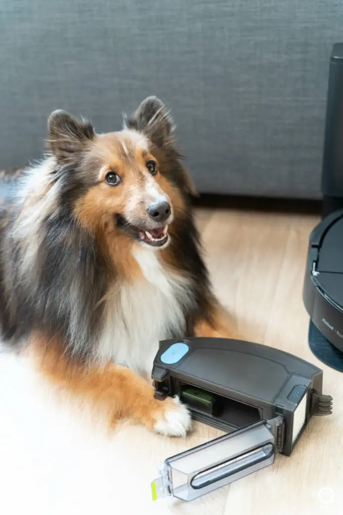 5 ฟีเจอร์ดีกับบ้านมีสุนัข รีวิว iRobot Roomba Combo j7+ หุ่นยนต์ดูดฝุ่นและถูพื้น 2 in 1 21 5 ฟีเจอร์ดีกับบ้านมีสุนัข รีวิว iRobot Roomba Combo j7+ หุ่นยนต์ดูดฝุ่นและถูพื้น 2 in 1 20