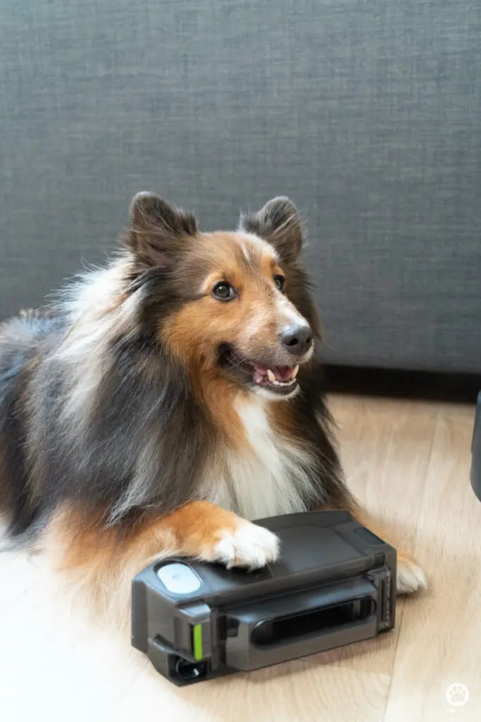 5 ฟีเจอร์ดีกับบ้านมีสุนัข รีวิว iRobot Roomba Combo j7+ หุ่นยนต์ดูดฝุ่นและถูพื้น 2 in 1 20 5 ฟีเจอร์ดีกับบ้านมีสุนัข รีวิว iRobot Roomba Combo j7+ หุ่นยนต์ดูดฝุ่นและถูพื้น 2 in 1 19