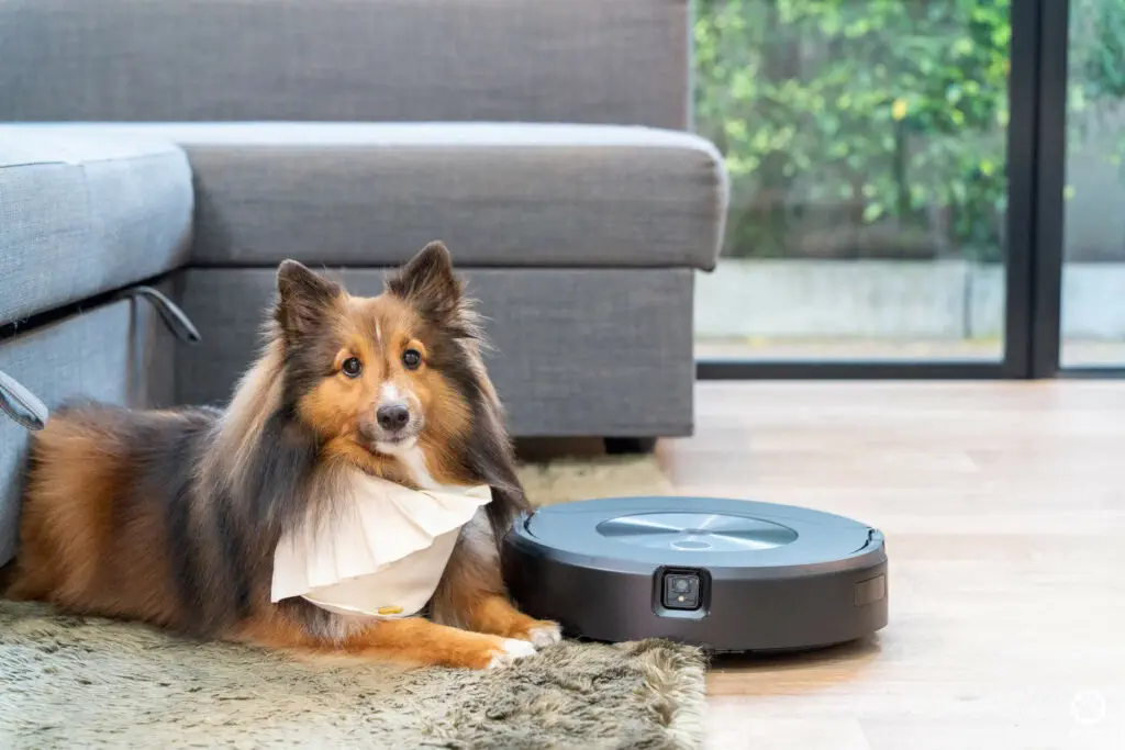 5 ฟีเจอร์ดีกับบ้านมีสุนัข รีวิว iRobot Roomba Combo j7+ หุ่นยนต์ดูดฝุ่นและถูพื้น 2 in 1 56 5 ฟีเจอร์ดีกับบ้านมีสุนัข รีวิว iRobot Roomba Combo j7+ หุ่นยนต์ดูดฝุ่นและถูพื้น 2 in 1 51