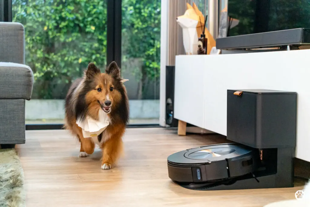 5 ฟีเจอร์ดีกับบ้านมีสุนัข รีวิว iRobot Roomba Combo j7+ หุ่นยนต์ดูดฝุ่นและถูพื้น 2 in 1 3 5 ฟีเจอร์ดีกับบ้านมีสุนัข รีวิว iRobot Roomba Combo j7+ หุ่นยนต์ดูดฝุ่นและถูพื้น 2 in 1 3