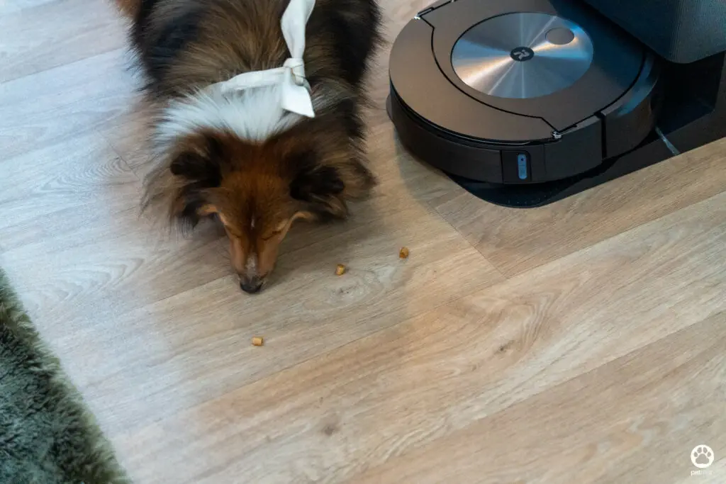 5 ฟีเจอร์ดีกับบ้านมีสุนัข รีวิว iRobot Roomba Combo j7+ หุ่นยนต์ดูดฝุ่นและถูพื้น 2 in 1 26 5 ฟีเจอร์ดีกับบ้านมีสุนัข รีวิว iRobot Roomba Combo j7+ หุ่นยนต์ดูดฝุ่นและถูพื้น 2 in 1 25