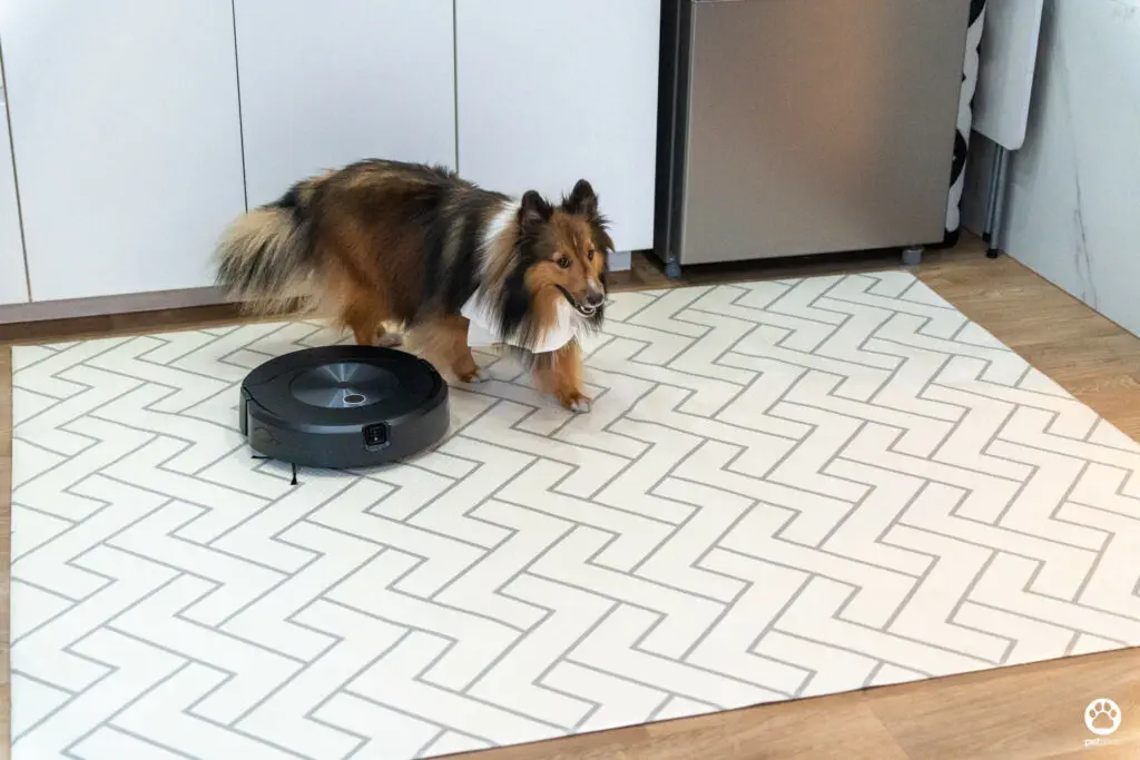 5 ฟีเจอร์ดีกับบ้านมีสุนัข รีวิว iRobot Roomba Combo j7+ หุ่นยนต์ดูดฝุ่นและถูพื้น 2 in 1 33 5 ฟีเจอร์ดีกับบ้านมีสุนัข รีวิว iRobot Roomba Combo j7+ หุ่นยนต์ดูดฝุ่นและถูพื้น 2 in 1 31