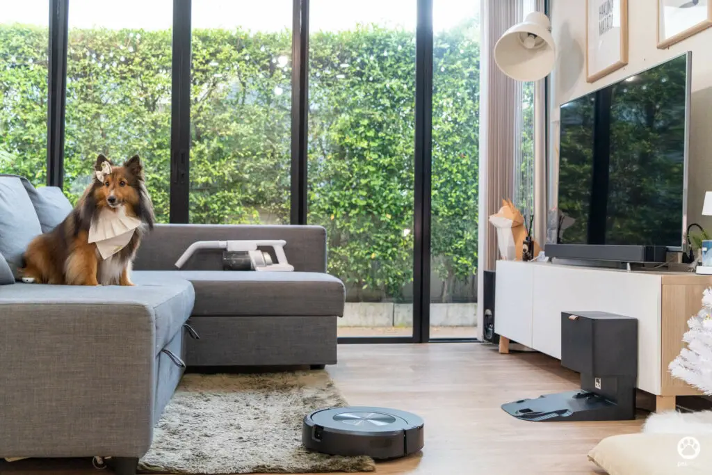 5 ฟีเจอร์ดีกับบ้านมีสุนัข รีวิว iRobot Roomba Combo j7+ หุ่นยนต์ดูดฝุ่นและถูพื้น 2 in 1 55 5 ฟีเจอร์ดีกับบ้านมีสุนัข รีวิว iRobot Roomba Combo j7+ หุ่นยนต์ดูดฝุ่นและถูพื้น 2 in 1 50