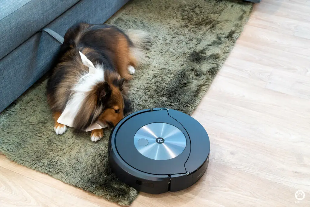 5 ฟีเจอร์ดีกับบ้านมีสุนัข รีวิว iRobot Roomba Combo j7+ หุ่นยนต์ดูดฝุ่นและถูพื้น 2 in 1 11 5 ฟีเจอร์ดีกับบ้านมีสุนัข รีวิว iRobot Roomba Combo j7+ หุ่นยนต์ดูดฝุ่นและถูพื้น 2 in 1 10