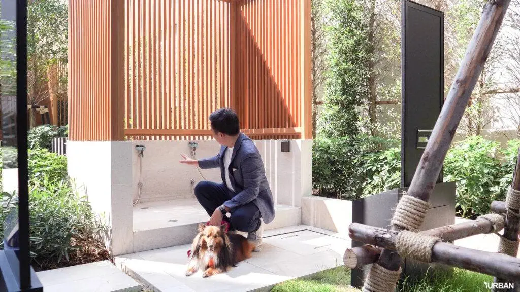 18 ไอเดีย Pet-First Design เมื่อเขาเป็นคนในครอบครัวมากกว่าสัตว์เลี้ยง การออกแบบจึงไม่หยุดแค่ Pet-Friendly 22 18 ไอเดีย Pet-First Design เมื่อเขาเป็นคนในครอบครัวมากกว่าสัตว์เลี้ยง การออกแบบจึงไม่หยุดแค่ Pet-Friendly 22