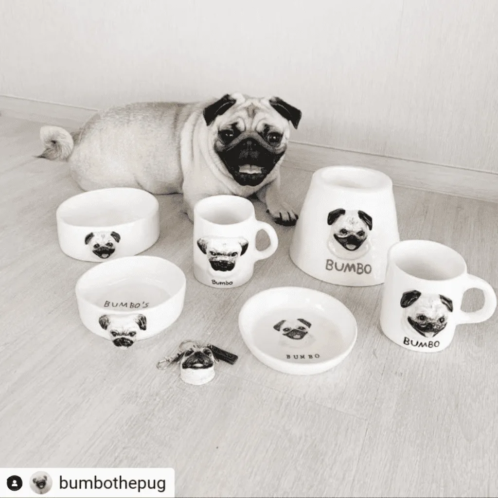 Petmap Art and Craft EP.1 - Mr.H Studio ร้านปั้นเซรามิกสัตว์เลี้ยง 7 Petmap Art and Craft EP.1 - Mr.H Studio ร้านปั้นเซรามิกสัตว์เลี้ยง 6