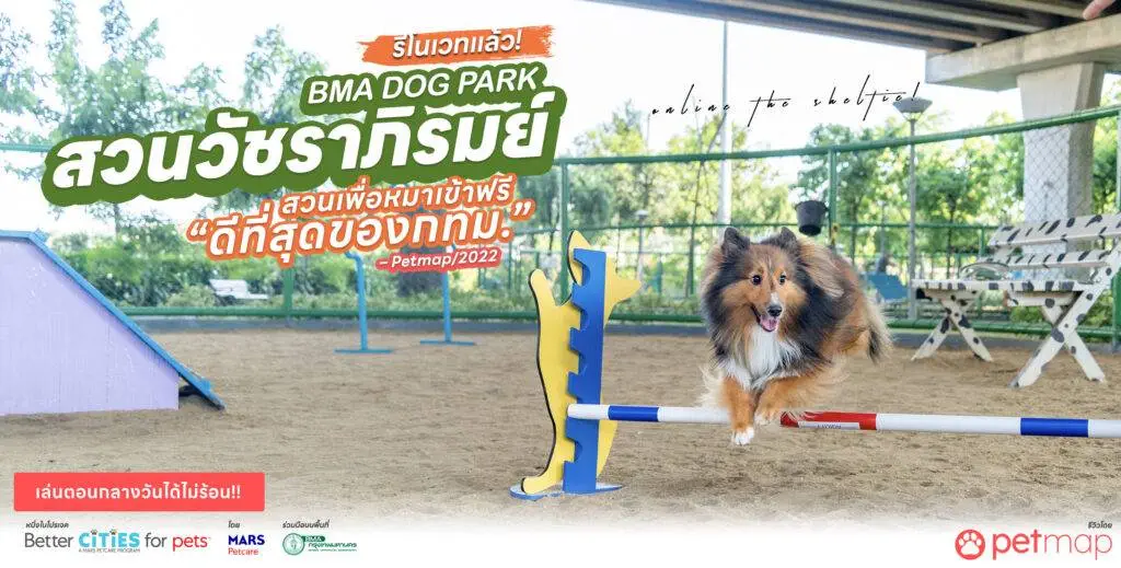 18 ไอเดีย Pet-First Design เมื่อเขาเป็นคนในครอบครัวมากกว่าสัตว์เลี้ยง การออกแบบจึงไม่หยุดแค่ Pet-Friendly 1