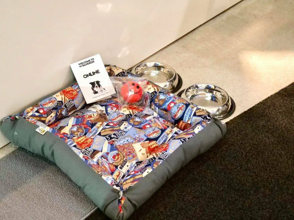 18 ไอเดีย Pet-First Design เมื่อเขาเป็นคนในครอบครัวมากกว่าสัตว์เลี้ยง การออกแบบจึงไม่หยุดแค่ Pet-Friendly 17 18 ไอเดีย Pet-First Design เมื่อเขาเป็นคนในครอบครัวมากกว่าสัตว์เลี้ยง การออกแบบจึงไม่หยุดแค่ Pet-Friendly 17
