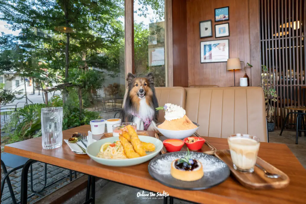 Hotto bun ลาดกระบัง ホットバン ฟีลเจแปน ก็แค่ ลาดกระบัง Pet Friendly ปิด 3 ทุ่ม 30 Hotto bun ลาดกระบัง ホットバン ฟีลเจแปน ก็แค่ ลาดกระบัง Pet Friendly ปิด 3 ทุ่ม 23