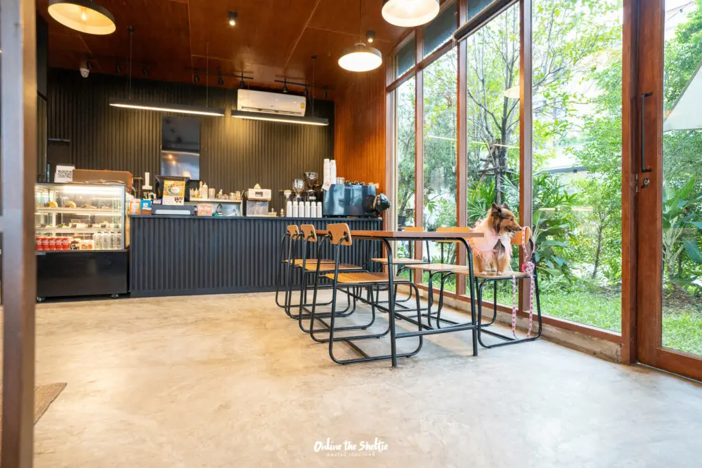 Hotto bun ลาดกระบัง ホットバン ฟีลเจแปน ก็แค่ ลาดกระบัง Pet Friendly ปิด 3 ทุ่ม 13 Hotto bun ลาดกระบัง ホットバン ฟีลเจแปน ก็แค่ ลาดกระบัง Pet Friendly ปิด 3 ทุ่ม 10