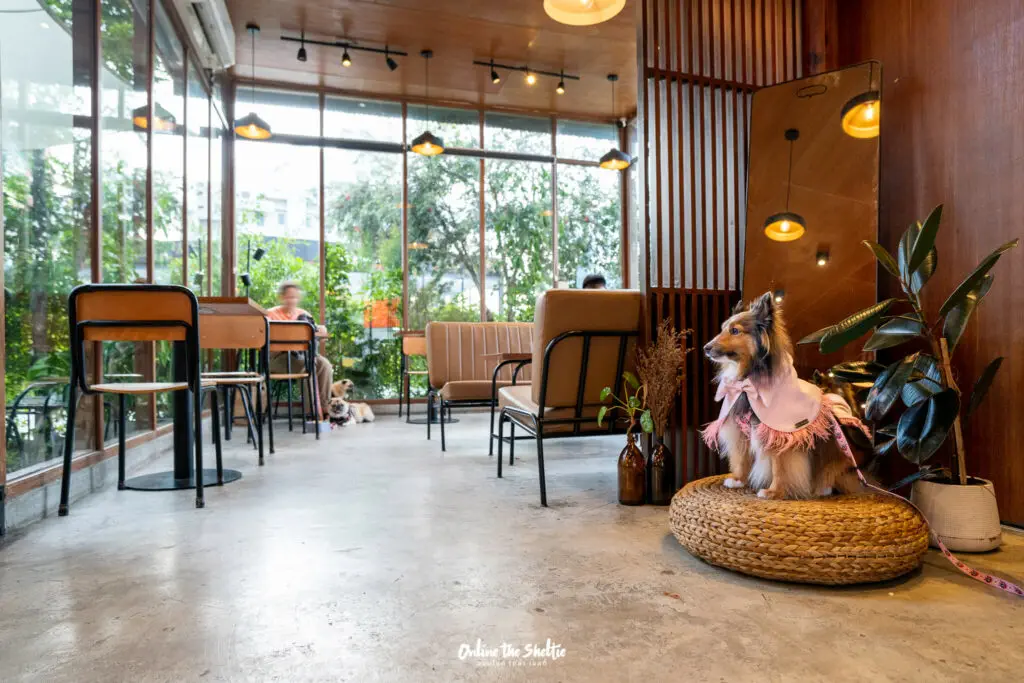 Hotto bun ลาดกระบัง ホットバン ฟีลเจแปน ก็แค่ ลาดกระบัง Pet Friendly ปิด 3 ทุ่ม 14 Hotto bun ลาดกระบัง ホットバン ฟีลเจแปน ก็แค่ ลาดกระบัง Pet Friendly ปิด 3 ทุ่ม 11