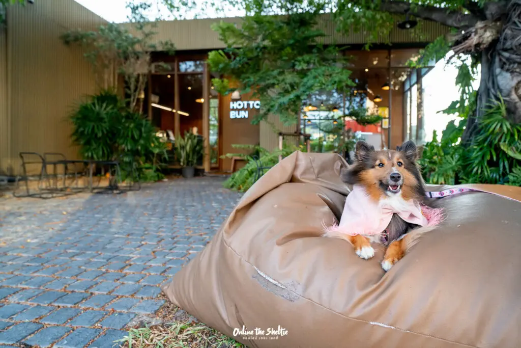Hotto bun ลาดกระบัง ホットバン ฟีลเจแปน ก็แค่ ลาดกระบัง Pet Friendly ปิด 3 ทุ่ม 7 Hotto bun ลาดกระบัง ホットバン ฟีลเจแปน ก็แค่ ลาดกระบัง Pet Friendly ปิด 3 ทุ่ม 4