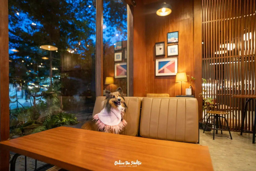 Hotto bun ลาดกระบัง ホットバン ฟีลเจแปน ก็แค่ ลาดกระบัง Pet Friendly ปิด 3 ทุ่ม 38 Hotto bun ลาดกระบัง ホットバン ฟีลเจแปน ก็แค่ ลาดกระบัง Pet Friendly ปิด 3 ทุ่ม 30