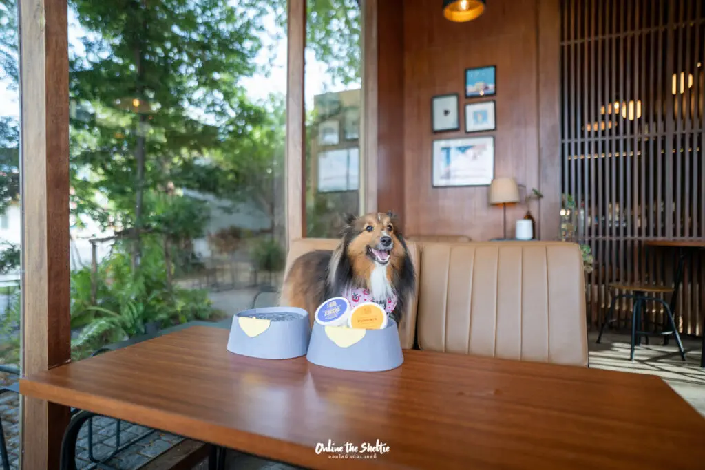 Hotto bun ลาดกระบัง ホットバン ฟีลเจแปน ก็แค่ ลาดกระบัง Pet Friendly ปิด 3 ทุ่ม 16 Hotto bun ลาดกระบัง ホットバン ฟีลเจแปน ก็แค่ ลาดกระบัง Pet Friendly ปิด 3 ทุ่ม 13