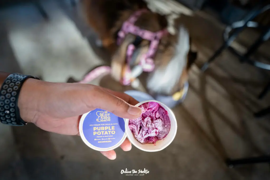 Hotto bun ลาดกระบัง ホットバン ฟีลเจแปน ก็แค่ ลาดกระบัง Pet Friendly ปิด 3 ทุ่ม 27 Hotto bun ลาดกระบัง ホットバン ฟีลเจแปน ก็แค่ ลาดกระบัง Pet Friendly ปิด 3 ทุ่ม 21