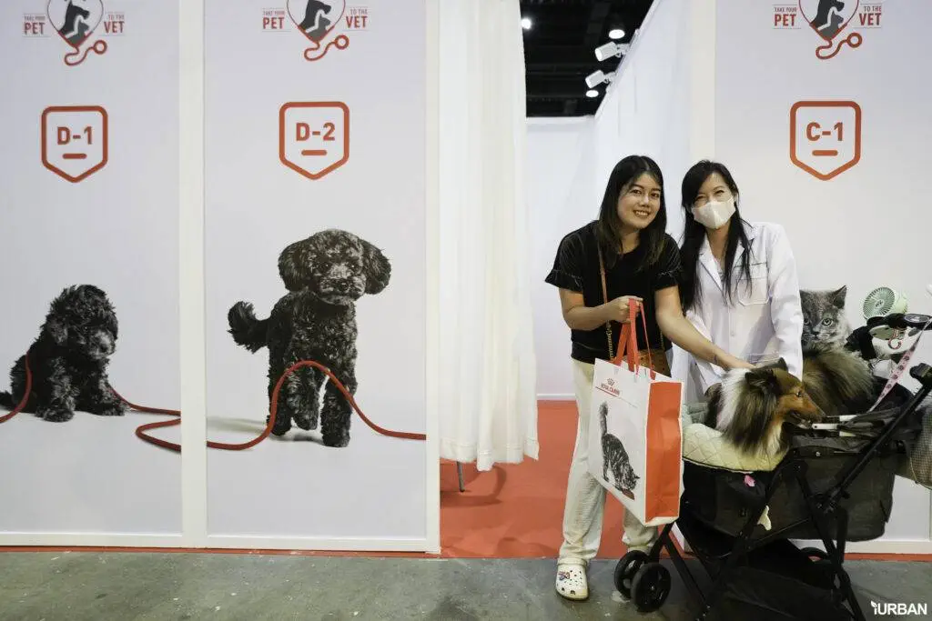 พาหมาปรึกษา ปรึกษา Vet Service ที่บูธ ROYALCANIN ในงาน PET EXPO 2023 10 พาหมาปรึกษา ปรึกษา Vet Service ที่บูธ ROYALCANIN ในงาน PET EXPO 2023 10