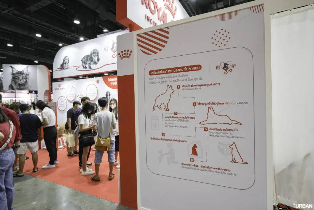 พาหมาปรึกษา ปรึกษา Vet Service ที่บูธ ROYALCANIN ในงาน PET EXPO 2023 6 พาหมาปรึกษา ปรึกษา Vet Service ที่บูธ ROYALCANIN ในงาน PET EXPO 2023 6