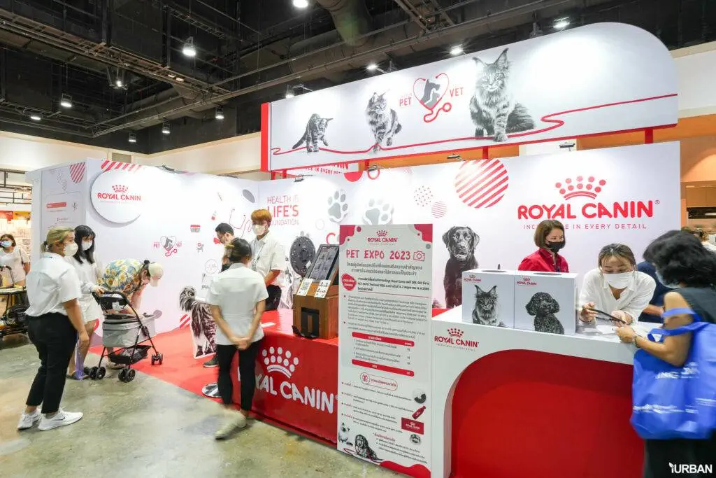 พาหมาปรึกษา ปรึกษา Vet Service ที่บูธ ROYALCANIN ในงาน PET EXPO 2023 5 พาหมาปรึกษา ปรึกษา Vet Service ที่บูธ ROYALCANIN ในงาน PET EXPO 2023 5