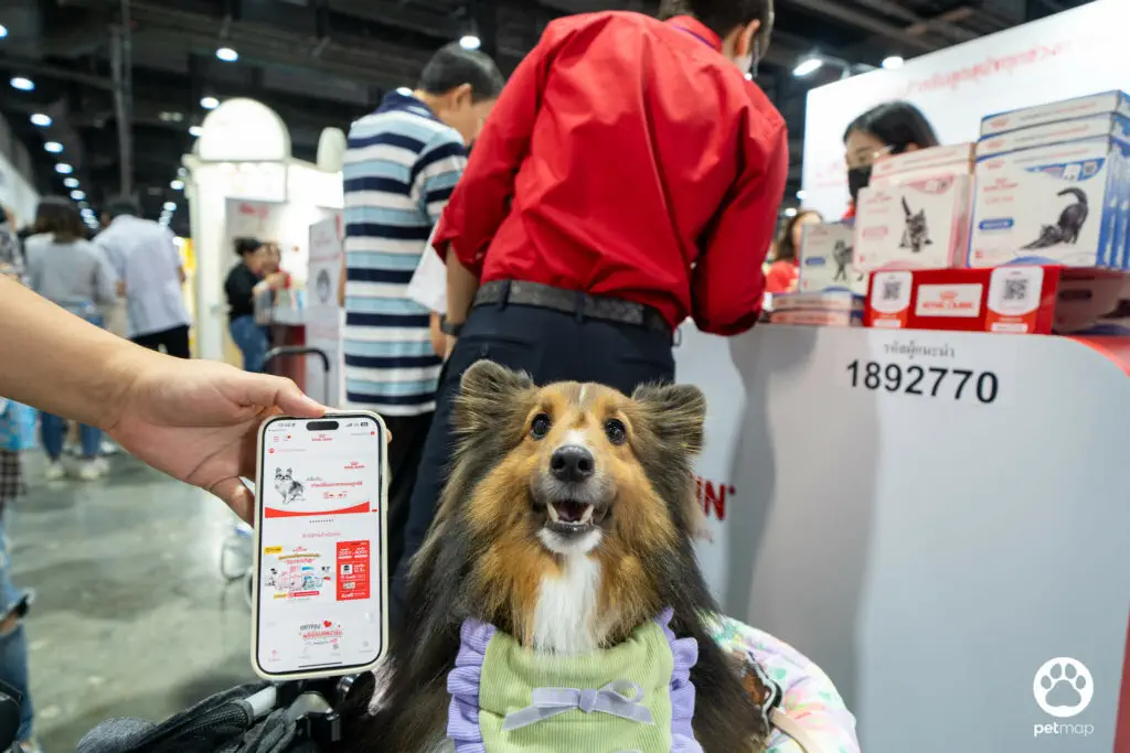 บูธโรยัล คานิน พาค้นพบขุมทรัพย์ความรู้ด้านโภชนาการในงาน Pet Expo Thailand 2024 6 บูธโรยัล คานิน พาค้นพบขุมทรัพย์ความรู้ด้านโภชนาการในงาน Pet Expo Thailand 2024 6