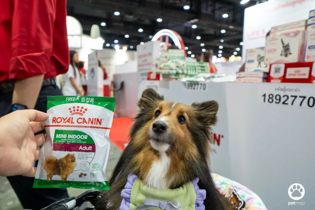 บูธโรยัล คานิน พาค้นพบขุมทรัพย์ความรู้ด้านโภชนาการในงาน Pet Expo Thailand 2024 7 บูธโรยัล คานิน พาค้นพบขุมทรัพย์ความรู้ด้านโภชนาการในงาน Pet Expo Thailand 2024 7