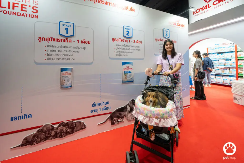 บูธโรยัล คานิน พาค้นพบขุมทรัพย์ความรู้ด้านโภชนาการในงาน Pet Expo Thailand 2024 12 บูธโรยัล คานิน พาค้นพบขุมทรัพย์ความรู้ด้านโภชนาการในงาน Pet Expo Thailand 2024 12