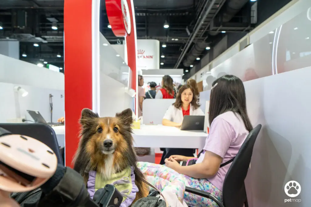 บูธโรยัล คานิน พาค้นพบขุมทรัพย์ความรู้ด้านโภชนาการในงาน Pet Expo Thailand 2024 5 บูธโรยัล คานิน พาค้นพบขุมทรัพย์ความรู้ด้านโภชนาการในงาน Pet Expo Thailand 2024 5