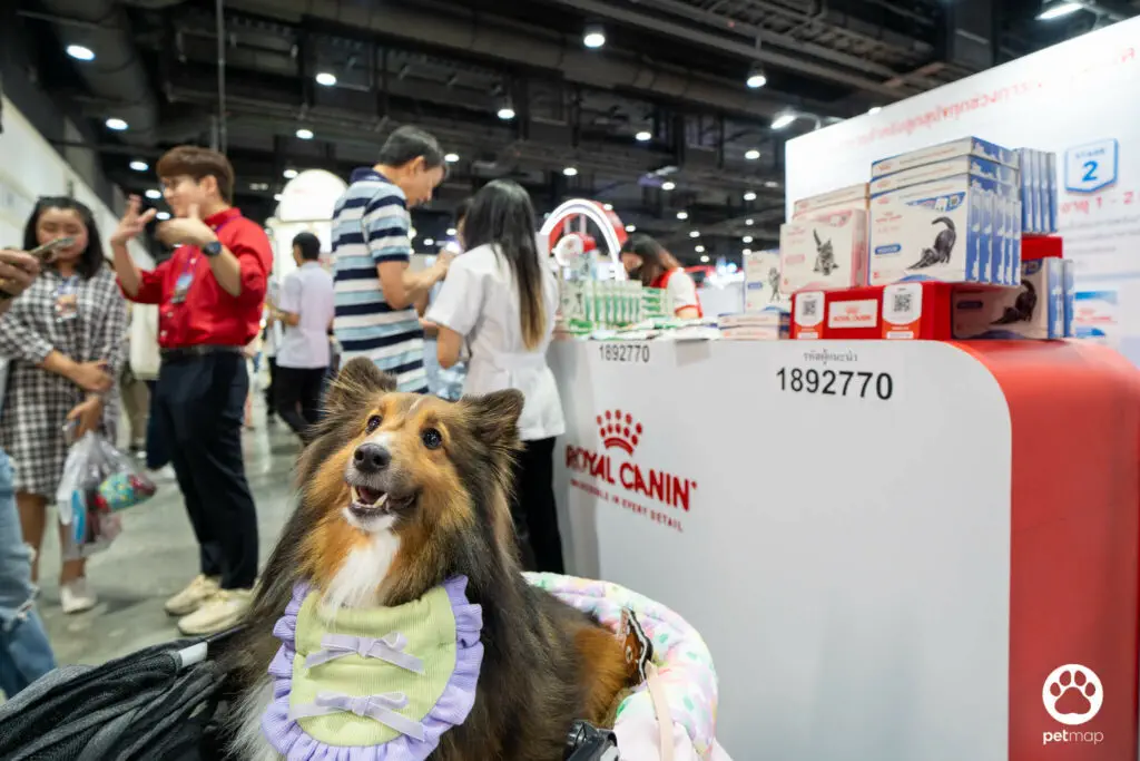 บูธโรยัล คานิน พาค้นพบขุมทรัพย์ความรู้ด้านโภชนาการในงาน Pet Expo Thailand 2024 3 บูธโรยัล คานิน พาค้นพบขุมทรัพย์ความรู้ด้านโภชนาการในงาน Pet Expo Thailand 2024 3