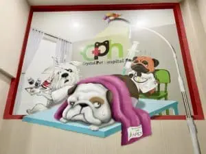 Crystal Pet Hospital 1